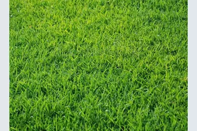 5137 Sydnie Road NW, Rochester, MN 55901 - Photo 1