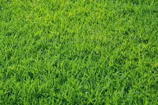 5117 Sydnie Rd NW, Rochester, MN 55901 - Photo 1