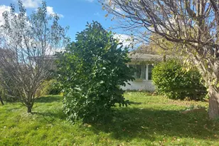 309 N Badger St, Caledonia, MN 55921 - Photo 3