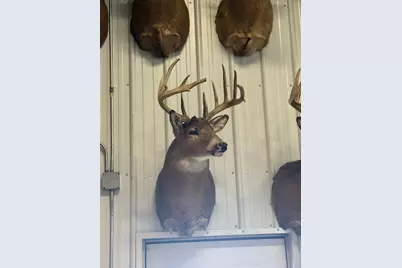 Tbd Reck Lane, Whitehall, WI 54773 - Photo 49