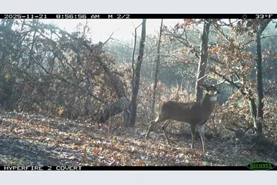 Tbd Reck Lane, Whitehall, WI 54773 - Photo 47