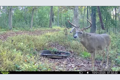 Tbd Reck Lane, Whitehall, WI 54773 - Photo 15