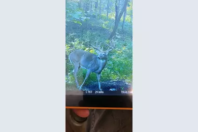 Tbd Reck Lane, Whitehall, WI 54773 - Photo 39