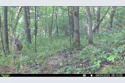 Tbd Reck Lane, Whitehall, WI 54773 - Photo 21