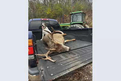 Tbd Reck Lane, Whitehall, WI 54773 - Photo 71