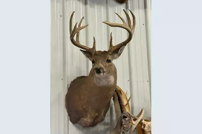 Tbd Reck Lane, Whitehall, WI 54773 - Photo 51