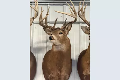 Tbd Reck Lane, Whitehall, WI 54773 - Photo 53