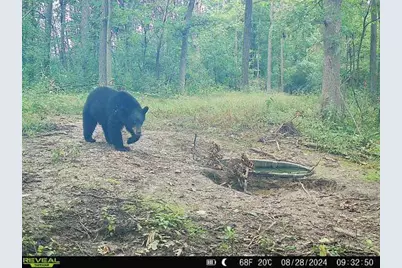 Tbd Reck Lane, Whitehall, WI 54773 - Photo 25