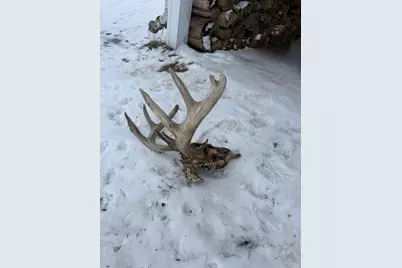 Tbd Reck Lane, Whitehall, WI 54773 - Photo 73