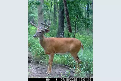 Tbd Reck Lane, Whitehall, WI 54773 - Photo 35