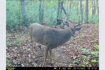 Tbd Reck Lane, Whitehall, WI 54773 - Photo 27