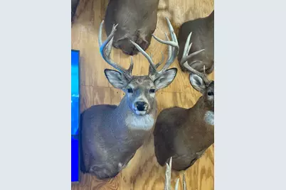 Tbd Reck Lane, Whitehall, WI 54773 - Photo 59