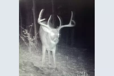 Tbd Reck Lane, Whitehall, WI 54773 - Photo 43