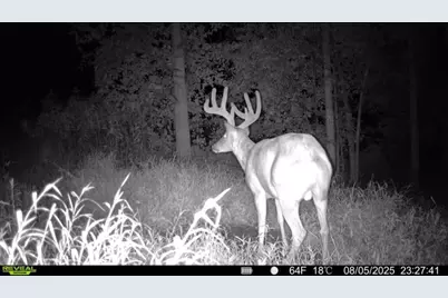 Tbd Reck Lane, Whitehall, WI 54773 - Photo 31