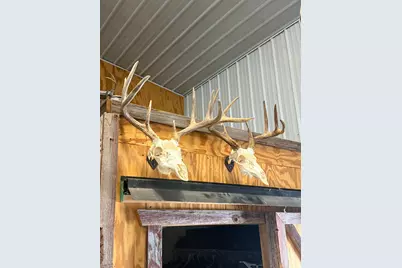 Tbd Reck Lane, Whitehall, WI 54773 - Photo 63