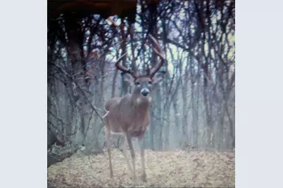 Tbd Reck Lane, Whitehall, WI 54773 - Photo 45