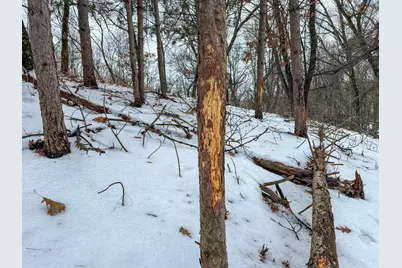 Tbd Reck Lane, Whitehall, WI 54773 - Photo 5