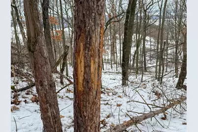 Tbd Reck Lane, Whitehall, WI 54773 - Photo 7