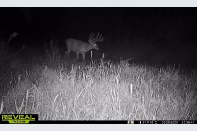 Tbd Reck Lane, Whitehall, WI 54773 - Photo 19