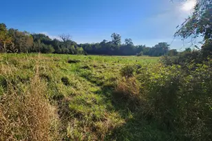 8800 Grace Ln N, Greenfield, MN 55357 - Photo 77