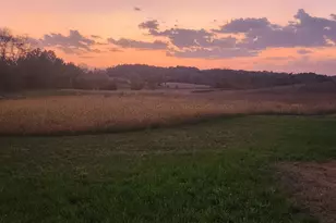 8800 Grace Ln N, Greenfield, MN 55357 - Photo 7