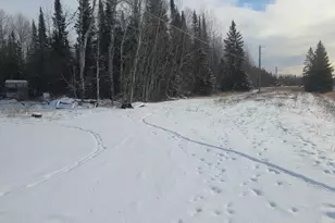 3176 Hwy 53, International Falls, MN 56649 - Photo 3