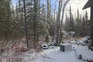 3176 Hwy 53, International Falls, MN 56649 - Photo 7