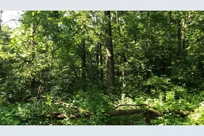 Xxxxx County 45 Boulevard, Red Wing, MN 55066 - Photo 9