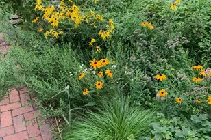 360 3rd St, Marine on Saint Croix, MN 55047 - Photo 59