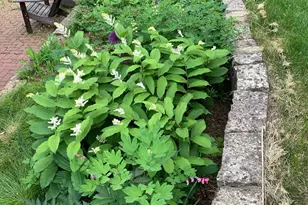 360 3rd St, Marine on Saint Croix, MN 55047 - Photo 61