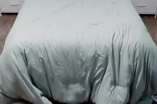 1229 104th Ave NE, Blaine, MN 55434 - Photo 13