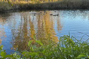 4605 Victor Path, Hugo, MN 55038 - Photo 35