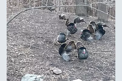 4315 Deere Trail, Chaska, MN 55318 - Photo 25