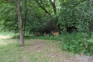 2706 Lakeview Ct, Little Canada, MN 55117 - Photo 75