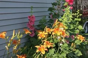 11576 Bristol Rd, Chisago City, MN 55013 - Photo 51