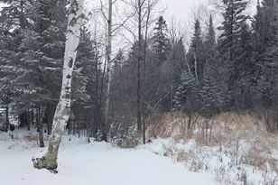 3901 Pleasant Ln, Eveleth, MN 55734 - Photo 31