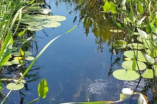 3901 Pleasant Ln, Eveleth, MN 55734 - Photo 7