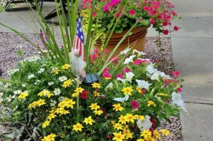 19745 Morton Oaks Rd, Audubon, MN 56511 - Photo 73