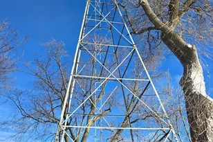 67632 440th St, Fairfax, MN 55332 - Photo 45