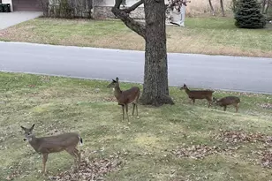 17316 Jersey Way, Lakeville, MN 55044 - Photo 29