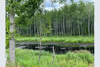 W37Xx Frog Creek Road, Minong, WI 54859 - Photo 17