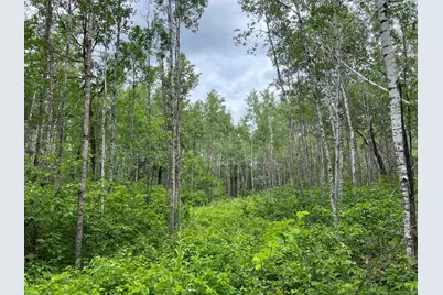 W37Xx Frog Creek Road, Minong, WI 54859 - Photo 31