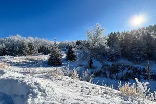 26088 Broadway Ave, Detroit Lakes, MN 56501 - Photo 3