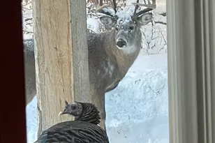 26088 Broadway Ave, Detroit Lakes, MN 56501 - Photo 55