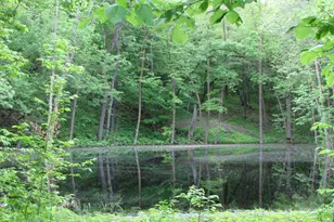 26088 Broadway Ave, Detroit Lakes, MN 56501 - Photo 57