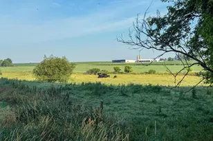 22438 State Hwy 30, Hayfield, MN 55940 - Photo 71