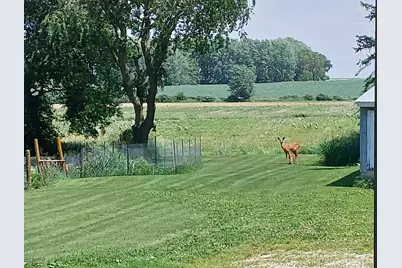 22438 State Highway 30, Hayfield, MN 55940 - Photo 89