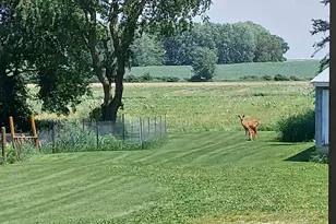 22438 State Hwy 30, Hayfield, MN 55940 - Photo 89