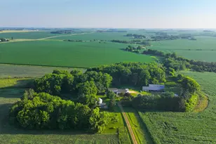 22438 State Hwy 30, Hayfield, MN 55940 - Photo 53