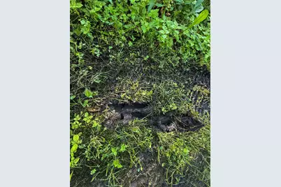 22438 State Highway 30, Hayfield, MN 55940 - Photo 73